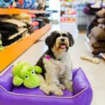 top 15 pet products to buy in 2025 mymallbox