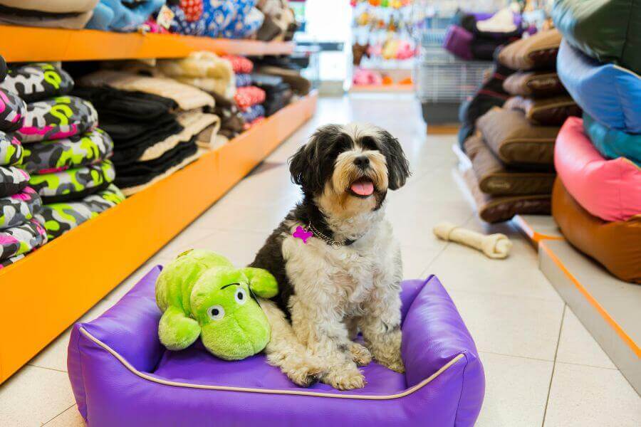 top 15 pet products to buy in 2025 mymallbox